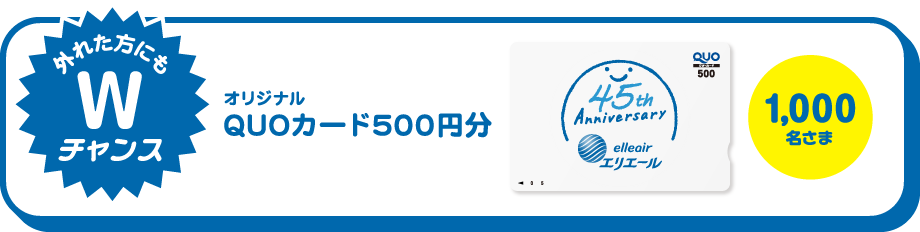 Wチャンス オリジナルQUOカード500円分