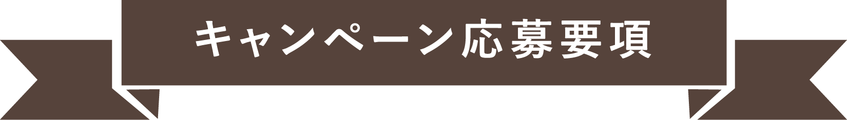 キャンペーン応募要項