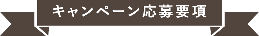 キャンペーン応募要項