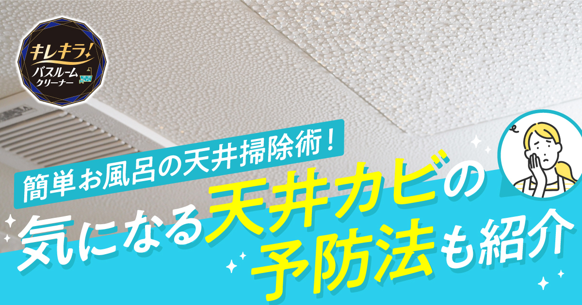 お掃除おばさんベスト 人気