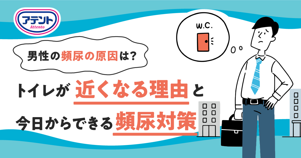 男性の頻尿の原因は？トイレが近くなる理由と今日からできる頻尿対策｜アテント｜エリエール｜大王製紙