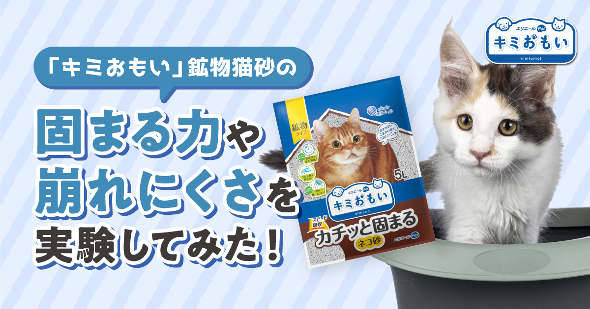 キミおもい」鉱物猫砂の固まる力や崩れにくさを実験してみた！｜キミおもい｜エリエール｜大王製紙