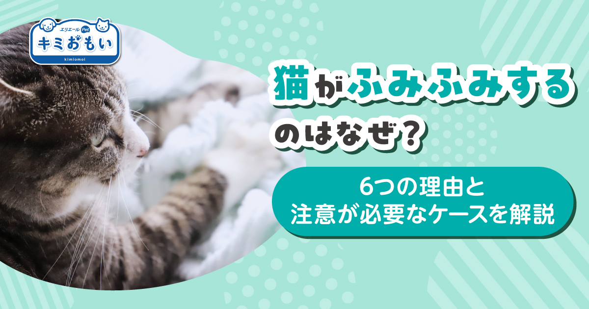 猫 ブランケット ふみふみ ストア