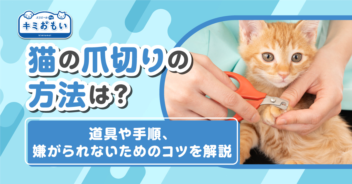 猫 捕まえ 方 ストア タオル