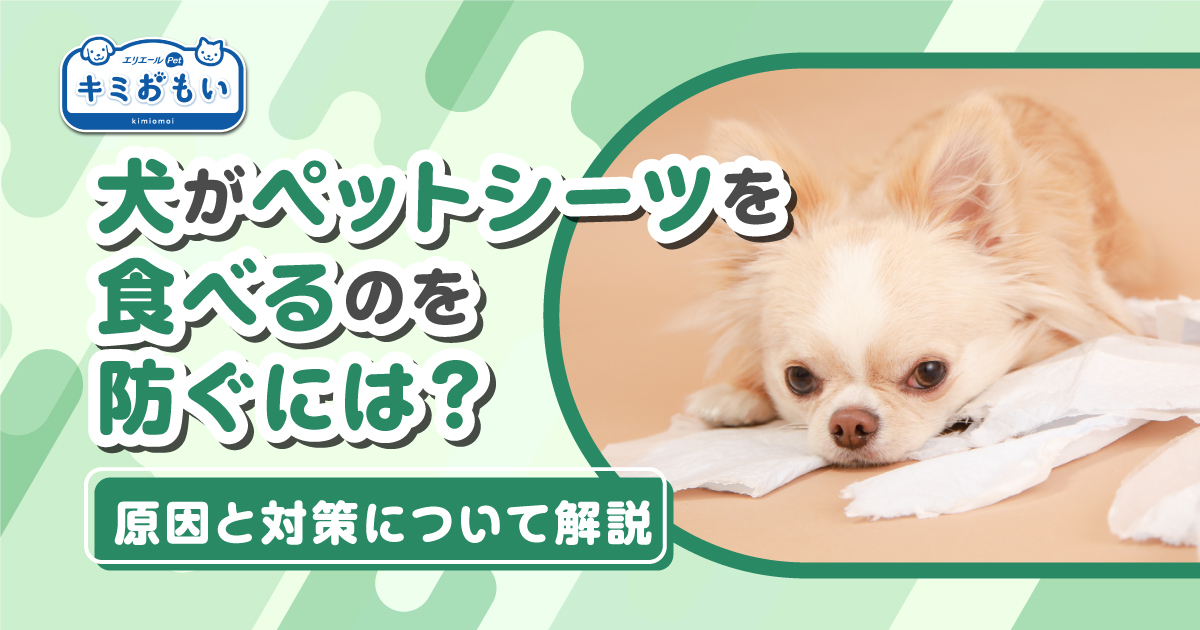 犬 ペットシーツ それる