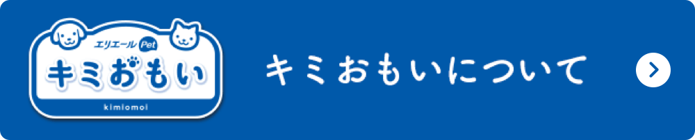 キミおもいについて