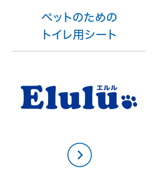 エリエールについて エリエール 大王製紙